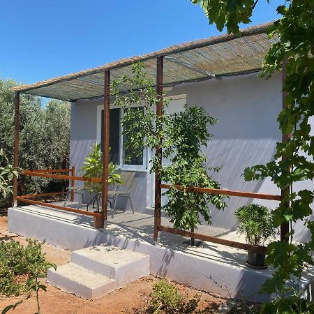 Vine Veranda Paleochora Buitenkant foto