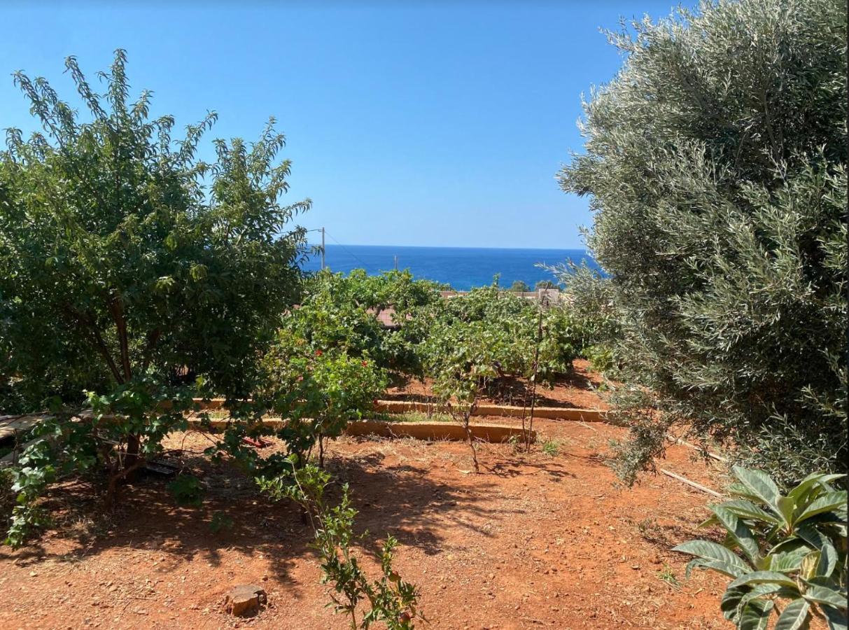 Vine Veranda Paleochora Buitenkant foto