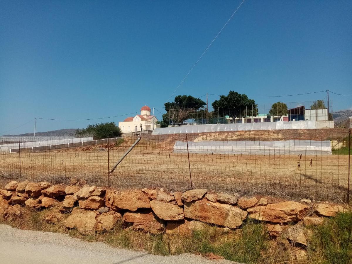 Vine Veranda Paleochora Buitenkant foto